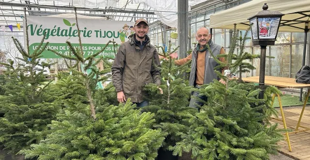photo  depuis trois ans, vincent tijou (à gauche) et didier tijou, de la végétalerie tijou, à chemillé-en-anjou (maine-et-loire), proposent à leurs clients, des sapins de noël à louer.  &copy;  ouest-france 