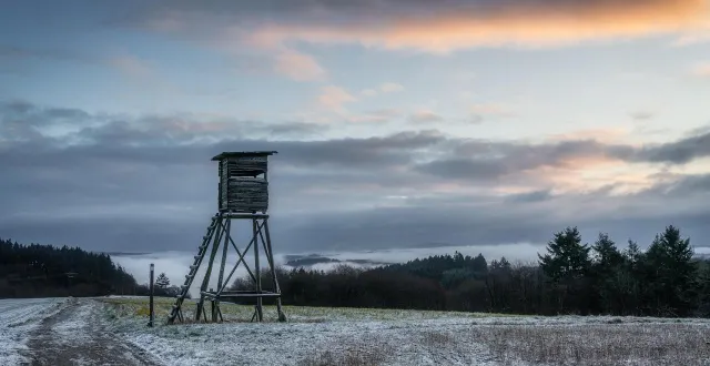 photo  perché sur son poste d’observation, le chasseur est devenu millionnaire en jouant sur son téléphone.  &copy;  photo d’illustration : pixabay 