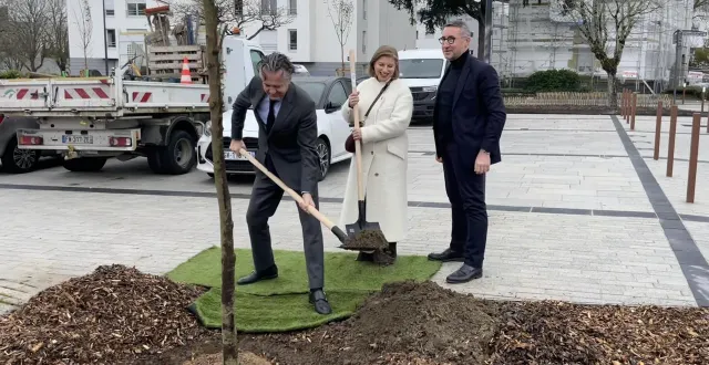 photo  christophe béchu, maire d’angers, inaugure la place marcel-vigne en donnant le premier coup de pelle pour planter l’ultime arbre de la place.  &copy;  ouest-france 
