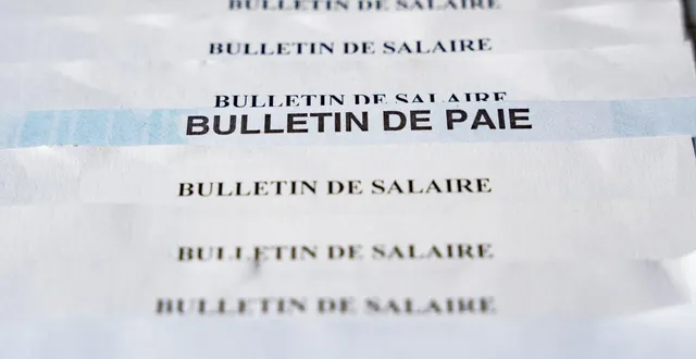 photo  les fonctionnaires continuaient à être payés malgré leur démission.  &copy;  photo d’illustration : hans lucas via afp 