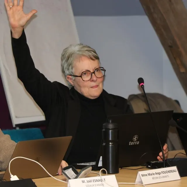 photo marie-ange fouchereau, vice-présidente en charge des solidarités, et les élus de la ccvha ont approuvé à l’unanimité le plan de financement pour un véhicule multiservice itinérant.  ©  ouest-france