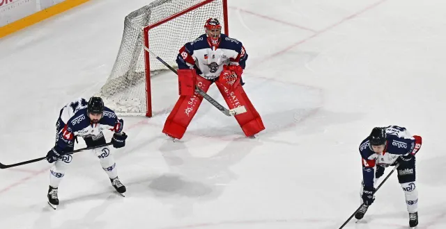photo  matt o’connor, le gardien des ducs d’angers.  &copy;  franck dubray/ouest france 