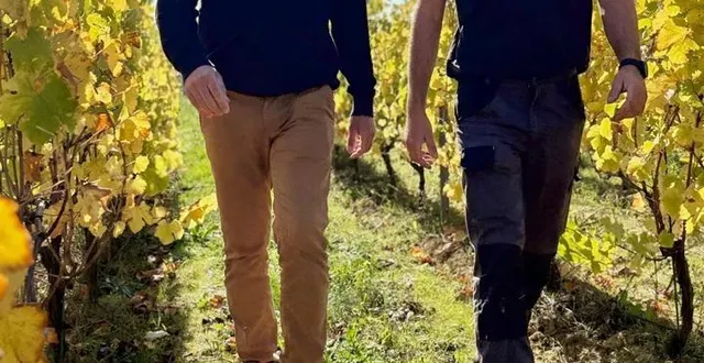 photo  franck david et françois plumejault dans les vignes de la gonorderie.  &copy;  co 