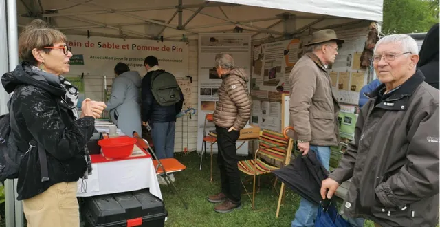 photo  grain de sable et pomme de pin a notamment participé au marché de printemps à arnage en avril dernier.  &copy;  archives le maine libre 