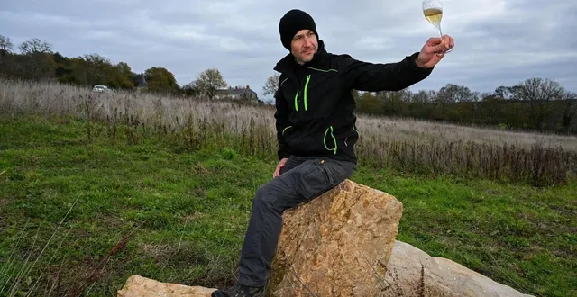 photo  huillé, le 27 novembre 2025. déjà vigneron à martigné-briand, jean-michel gazeau redonne vie au vignoble le plus au nord du département.  &copy;  co – josselin clair 