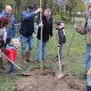 photo parents, enfants et élus ont manié pelles et râteaux pour mettre en terre un magnifique magnolia. les deux petits-enfants s’apprêtent à venir casser les mottes de terre.