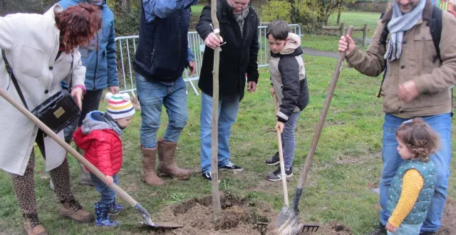 photo  parents, enfants et élus ont manié pelles et râteaux pour mettre en terre un magnifique magnolia. les deux petits-enfants s’apprêtent à venir casser les mottes de terre.  &copy;  ouest-france 