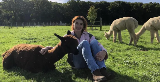 photo  bien entourée par ses alpagas, qu’elle élève à saint-symphorien (sarthe), géraldine caplain s’est lancée dans l’aventure l’amour est dans le pré dans l’espoir de trouver l’homme de sa vie. pari réussi ?  &copy;  archives ouest-france 
