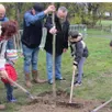 photo parents, enfants et élus ont manié pelles et râteaux pour mettre en terre le magnolia.