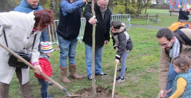 photo  parents, enfants et élus ont manié pelles et râteaux pour mettre en terre le magnolia.  &copy;  co 