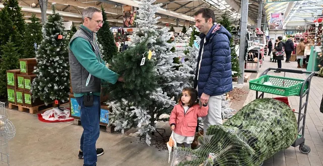 photo  un achat de sapin au magasin truffaut de pacé (ille-et-vilaine).  &copy;  thomas brégardis / ouest-france 
