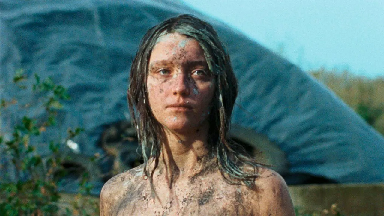 P35616881D7091780G.jpg P35616881D7091780G.jpg