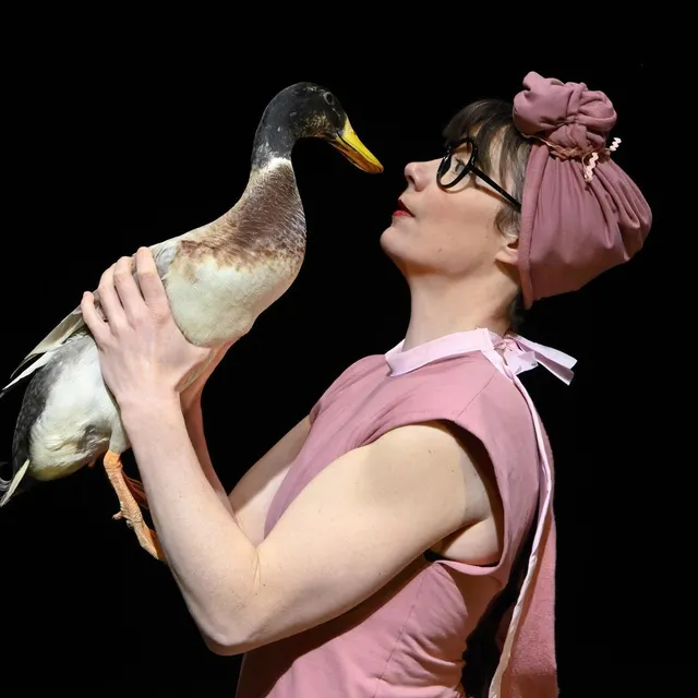 photo la compagnie les plumés amènera ses chiens, canards et poules sur scène à flers (orne) avec le cirque tempo.  ©  daniel michelon