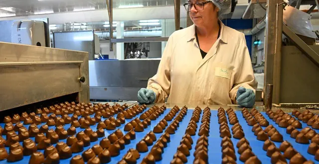 photo  la chocolaterie mathez, à châteauneuf-sur-sarthe, est spécialiste de la truffe au cacao.  &copy;  co – laurent combet 