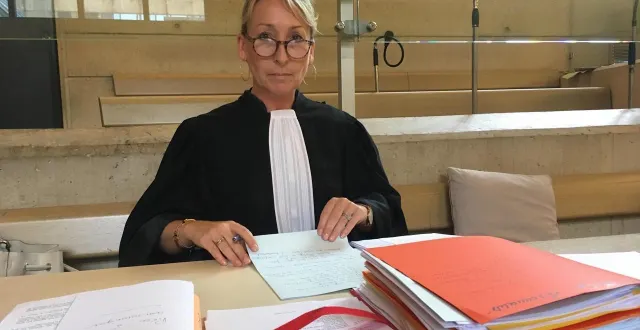 photo  en première instance, le 17 novembre 2025, me sylvie chartier-labbé avait plaidé la relaxe. ?  &copy;  archives ouest-france 