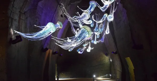 photo  les méduses habillent l’une des salles les plus merveilleuses du mystère des faluns, à doué-la-fontaine (maine-et-loire).  &copy;  archives 