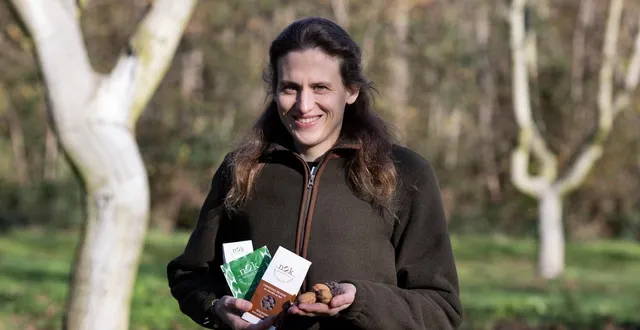 photo  bauné (maine-et-loire), le 21 novembre 2025. hortense de castries avec les noix gourmandes de nok dans la noyeraie où son grand-père a planté seize hectares de noyers dans les années 1970.  &copy;  le courrier de l’ouest-régine lemarchand 