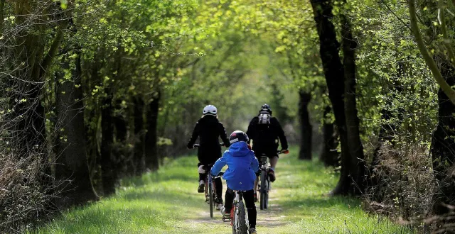 photo  la création de groupements forestiers d’investissement (gfi) a démocratisé ce placement. un groupement forestier, c’est une société dont l’objet social est l’acquisition et la gestion d’un patrimoine forestier, en france et ou en europe.  &copy;  ouest france 