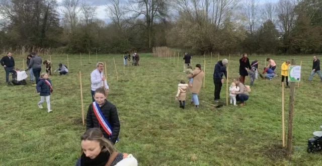 photo  une naissance un arbre 2025  &copy;  document remis 