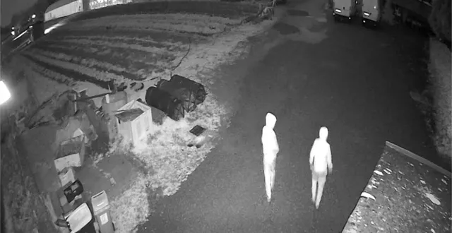 photo  les caméras de vidéosurveillance de l’exploitation agricole ont filmé les deux voleurs.  &copy;  la ferme des chapelles 