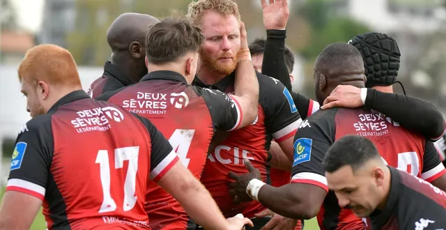 photo  chris van leeuwen et les niortais ont signé une première partie de saison très satisfaisante pour un promu.  &copy;  co - marie delage 