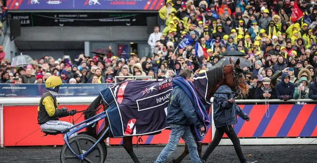 photo  inmarosa avant le départ du prix d’amérique 2025. la jument drivée par léo abrivard sera encore de la partie pour la belle fin janvier.  &copy;  - © bruno vandevelde - le trot 