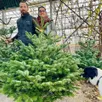 photo mickaël girard et virginie boisseau disposent d’une sapinière où s’épanouissent 3 500 sapins. leur production est vendue sur le marché de la place la-fayette, à angers, tous les samedis, à rochefort-sur-loire le mercredi et à savennières un dimanche sur deux.