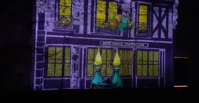 photo  le jardin de l’hôtel courtin de torsay, ou jardin des couleurs, offre un parcours musical, lumineux et féerique chaque week-end du mois de décembre. une balade enchantée à découvrir avec les yeux et les oreilles, porté par la magie lumineuse et sonore des lieux.  &copy;  ouest-france 