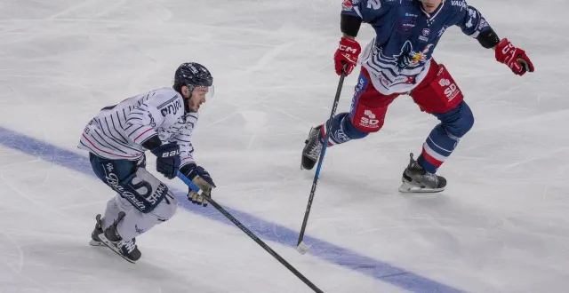 photo  pierre crinon (à droite), lors de la finale de la coupe de france 2025 contre les ducs d’angers de philippe halley.  &copy;  mathieu pattier / ouest france 