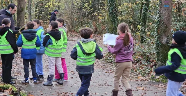 photo  la forêt devient un lieu d’apprentissages et de découvertes.  &copy;  co 