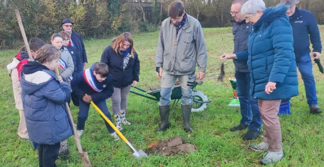 photo  les conseillers juniors ont manié la pelle pour planter une dizaine d’arbres supplémentaires.  &copy;  ouest-france 