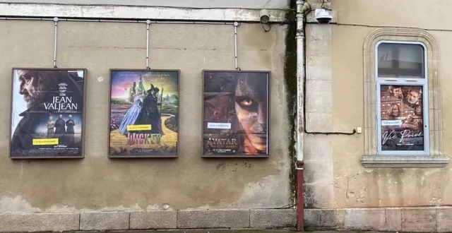 photo  le cinéma de sées met ses affiches en vente à l’occasion de la foire aux dindes.  &copy;  ouest-france 