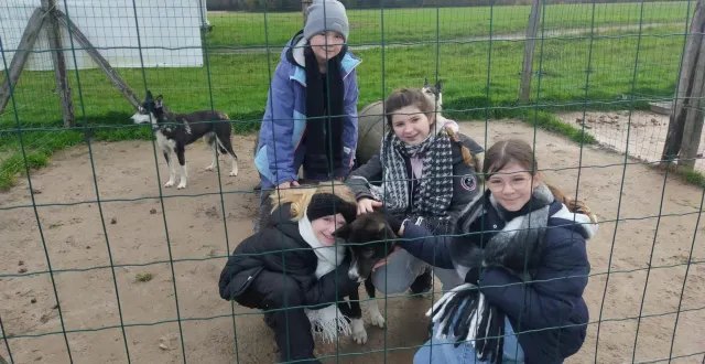 photo  une partie des collégiennes dans l’enclos des huskys.  &copy;  co 