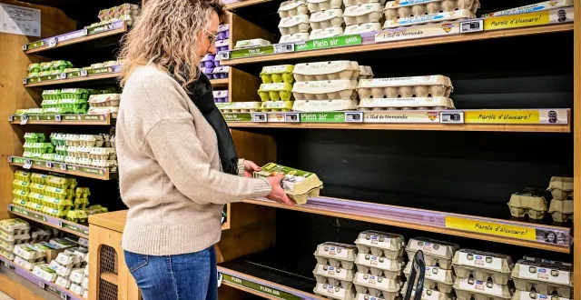 photo  le choix au rayon œufs est souvent plus restreint, en raison de ruptures de stocks régulières.  &copy;  photo le maine libre - yvon loué 