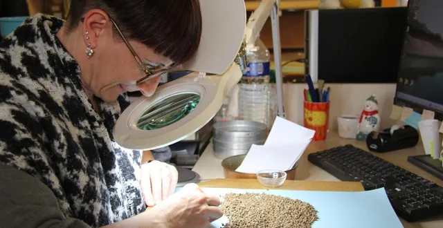 photo  dans ce laboratoire à l’est d’angers, environ 30 000 analyses de semences sont réalisées chaque année. certaines opérations se font même à la main.  &copy;  ouest-france. 