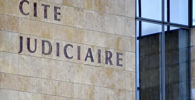 photo  un sarthois âgé de 35 ans a été jugé, vendredi 12 décembre 2025 par le tribunal correctionnel du mans, pour atteintes sexuelles envers sa belle-fille qui n’était âgée que de neuf ans.  &copy;  ouest-france 