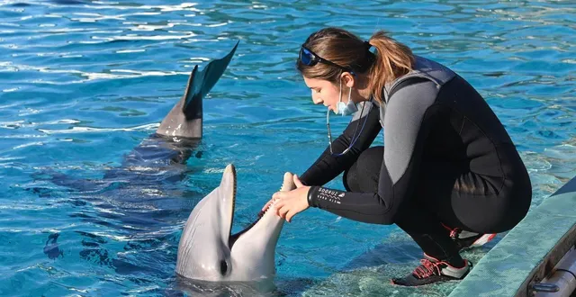 photo  en 2027, les dauphins du parc planète sauvage à port-saint-père (loire-atlantique) devraient déménager au zoo de beauval, dans le cadre d’un projet inédit en europe.  &copy;  jerome fouquet/ archives ouest-france 