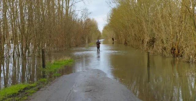 photo  inondations, submersion marine, érosion des côtes, sécheresse… le parc du marais poitevin est en première ligne du changement climatique (photo d’illustration, au mazeau en 2024).  &copy;  archives ouest-france 