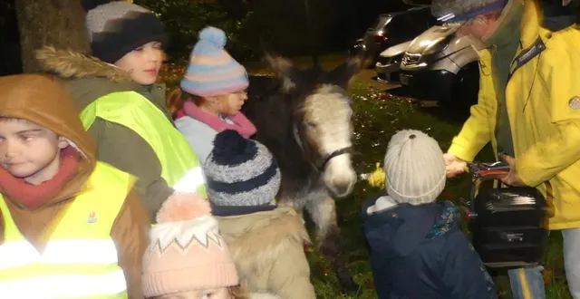 photo  un grand moment de partage pour les enfants autour de l’âne.  &copy;  co 