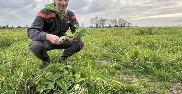 photo  noirterre, mercredi 10 décembre. avec des couverts végétaux multi-espèces et l’abandon du labour sur une partie de la surface de la ferme, guillaume liaud observe une régénération du sol.  &copy;  co - fabien gouault 