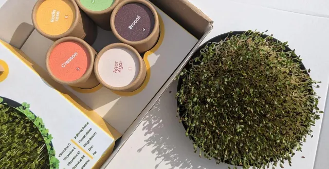 photo  le kit de micropousses proposé par mathilde et idir.  &copy;  mathilde idir 