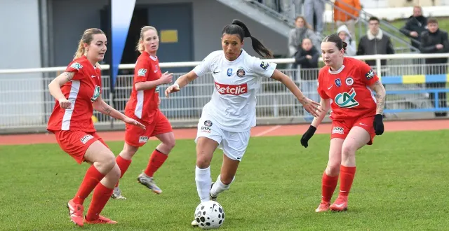 photo  face au dauphin de seconde ligue, les fléchoises ont tout donné sans parvenir à inscrire un but.  &copy;  le maine libre 