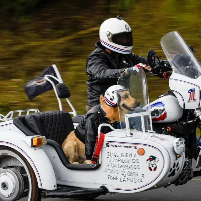 photo tous les visages étant différents, les casques ne conviennent pas à toutes les têtes.  ©  anadolu via afp