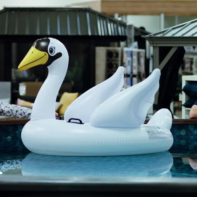 photo les courts du funambule.  ©  dr