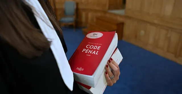 photo  plus de neuf ans après la mort d’une femme de 53 ans, tuée d’un coup de fusil, son mari a été renvoyé devant la cour d’assises de maine-et-loire pour meurtre sur conjoint.  &copy;  illustration co - josselin clair 