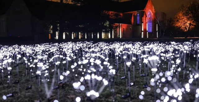 photo  outre la quête immersive pour les enfants, le public est invité à un voyage lumineux et sonore, gratuit, avec la 10e édition des illuminations de l’abbaye royale de l’épau, près du mans (sarthe).  &copy;  ouest-france 