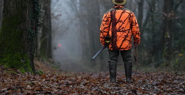 photo  les jours du chasseur de 82 ans ne sont plus en danger.  &copy;  illustration co - josselin clair 