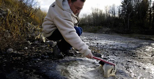 photo  des milliers d’empreintes de dinosaures ont été découvertes à proximité du site bormio, accueillant le ski alpin et le ski alpinisme aux prochains jo en italie.  &copy;  bruno ferrandez / afp (photo illustration) 