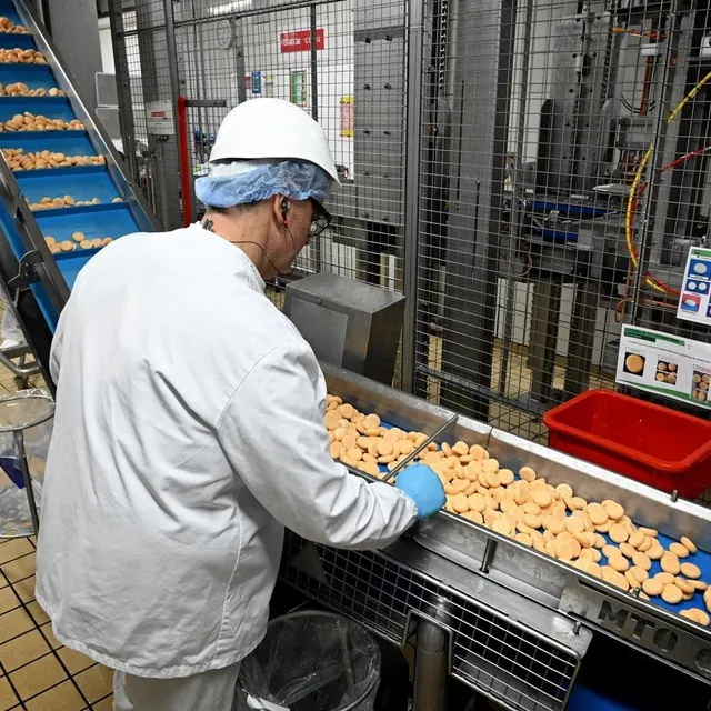 photo l’usine bel d’évron (mayenne) est spécialisée dans la production du célèbre mini babybel, une marque en forte croissance, notamment à l’international.  ©  marc ollivier/ouest-france