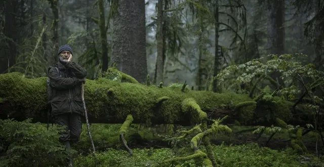 photo  le chant des forêts  &copy;  vincent munier 